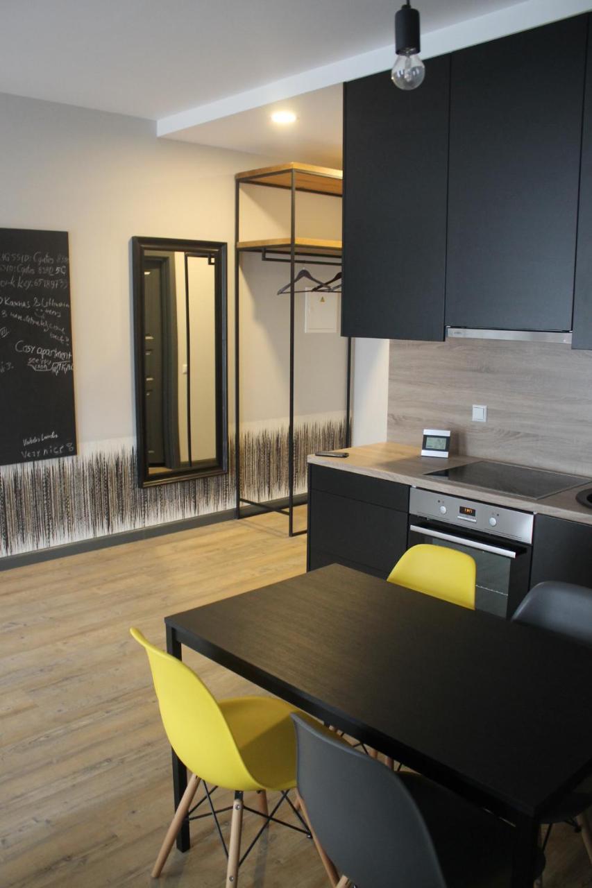 Smartflat & New Apartment City Center Κάουνας Εξωτερικό φωτογραφία